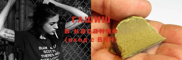 прущие грибы Вязьма