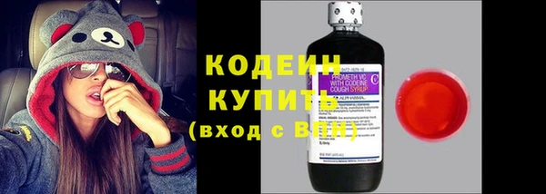 прущие грибы Вязьма