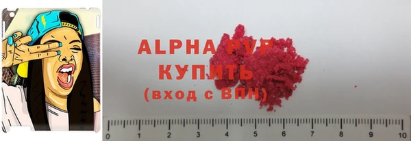 прущие грибы Вязьма