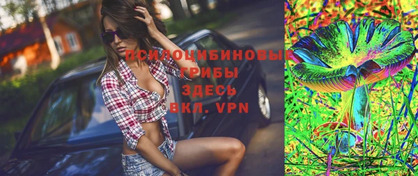 прущие грибы Вязьма