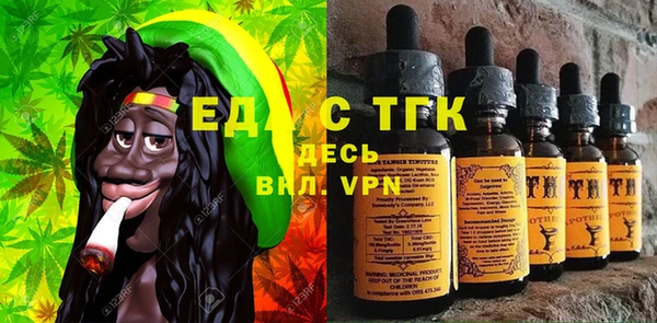 прущие грибы Вязьма