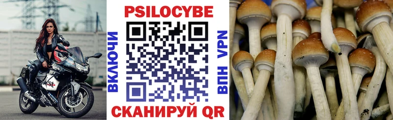 Галлюциногенные грибы ЛСД Зарайск