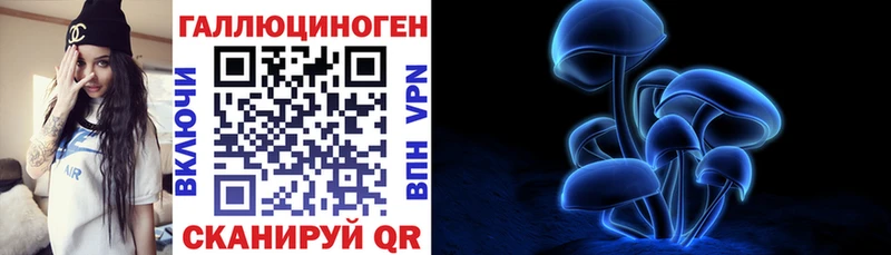 Галлюциногенные грибы Psilocybe  Зарайск 